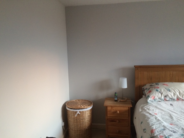 Please help me find a grey - I am losing the plot....