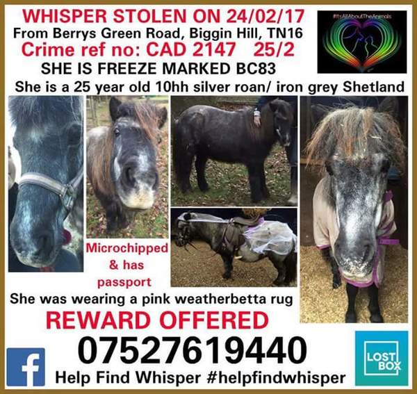 Stolen pony, please share.