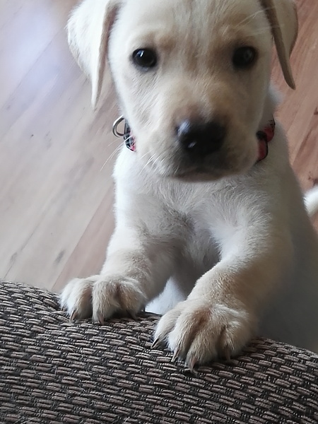 My new baby