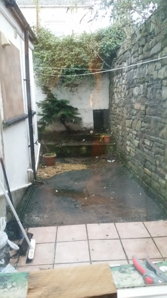What can I do with ugly tiny paved yard?
