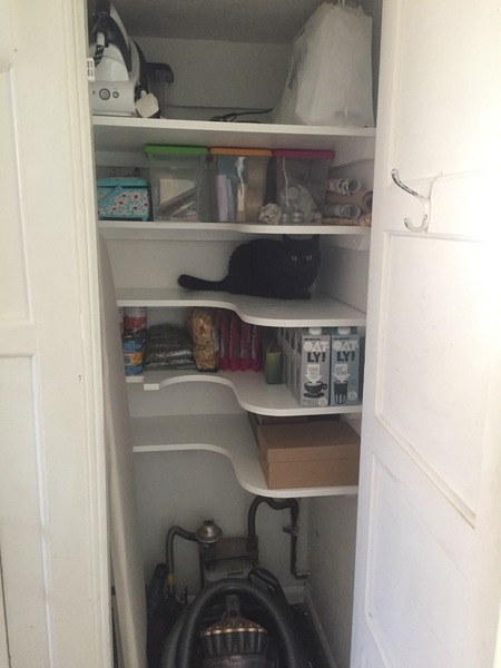 Understairs Storage