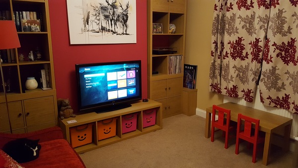 Toy storage...is IKEA the best option