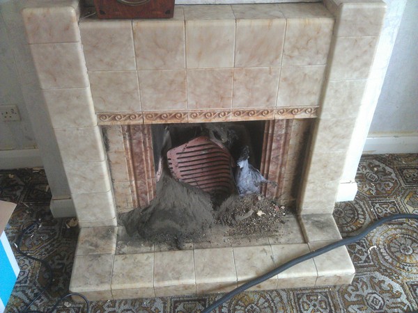 Peeping from the chimney, wwyd?