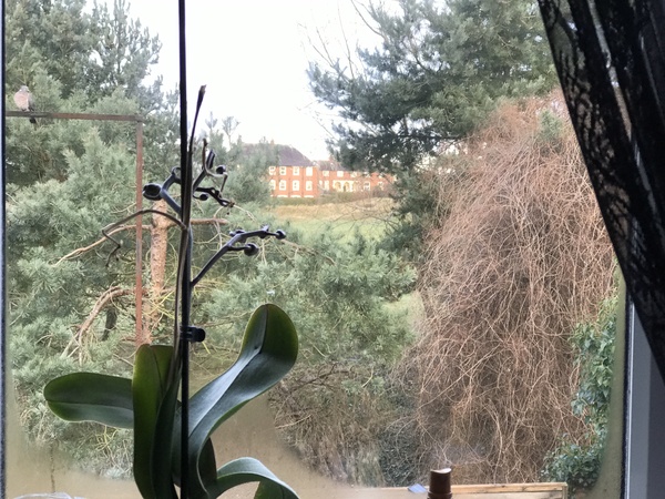 ...to see what your (master) bedroom looks like?