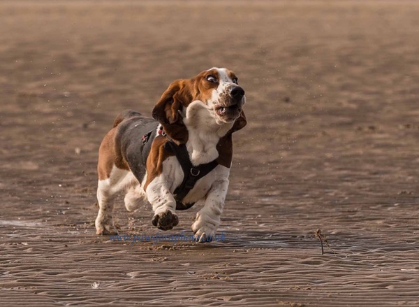 Week 4 - Spring Low Carb Bootcamp - our first month!