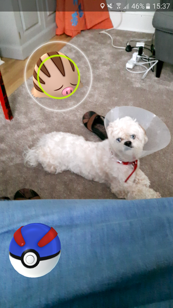 Pokemon Go #7. Is it Take A Chansey On Me or Hitmonlee With Your Rhythm Stick? You decide.