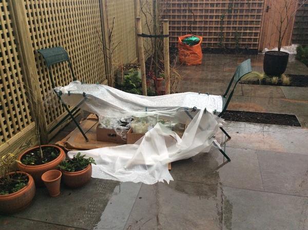 "in the midst of winter, I found there was within me, an invincible summer" Potting shed chat continues here