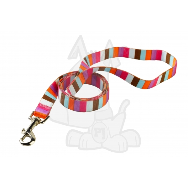 ... To make a belt out of a dog lead?
