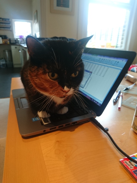 Zombie and Woolly Hugs. ALL very welcome to join us, come and find out about her legacy of Candy’s Hugs.