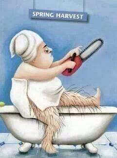 Brave Babes - reconvene here!!!