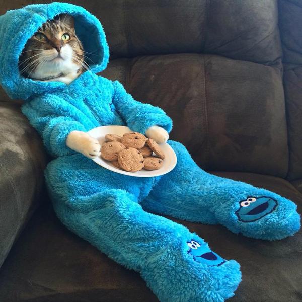 What do you wear to lounge around the house?