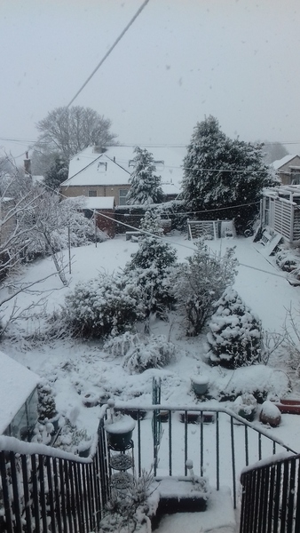 Storm Doris. - Amber warnings central UK
