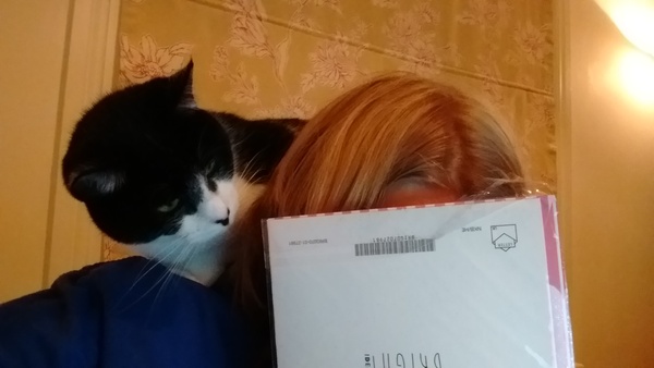 Don't mind me cat, I'm only working...