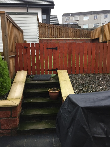 Please help with my garden (pics)