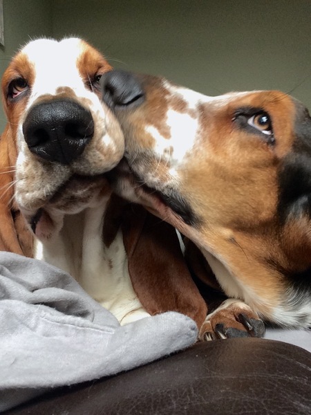 Week 4 - Spring Low Carb Bootcamp - our first month!