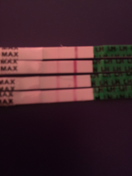 Ovulation question