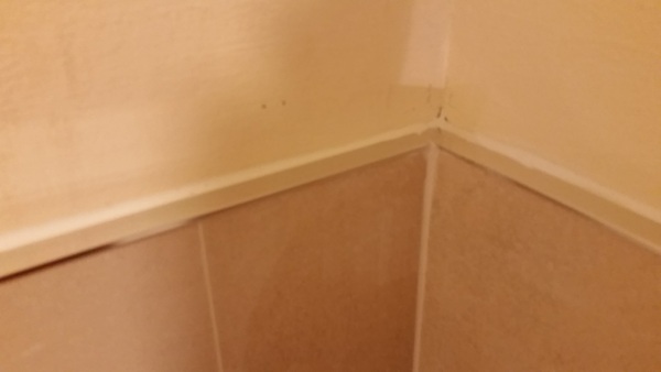 Is this a bad tiling job or am I too fussy?