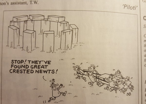 Doctors, will Lemma become lemmings at the White cliffs of Dover? .