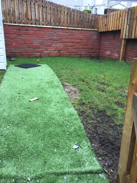 Please help with my garden (pics)