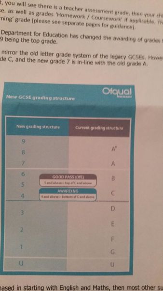 Year seven report