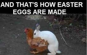 To feel weird about the Easter bunny?