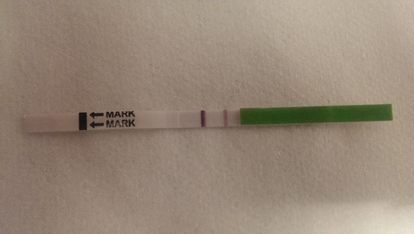TWW - anyone else testing in early March?