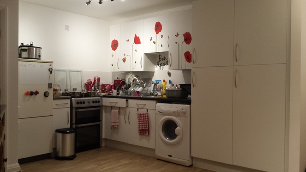 Anyone with professional knowledge about electrical switches and sockets in open living area kitchen?