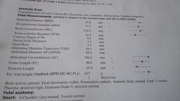 May 2017 #7....... Final months, rapidly growing bumps
