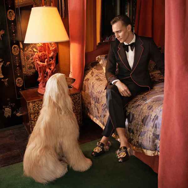 AIBU to think Tom Hiddleston is bloody dull?