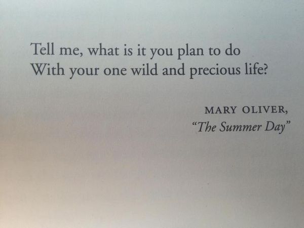 ....to ask you for your favourite quotes?