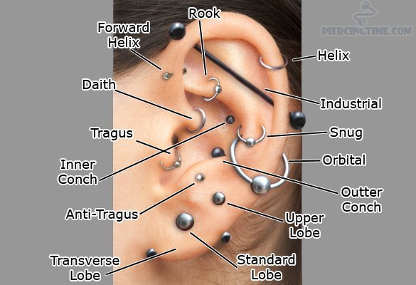 Piercing people-is this a thing?