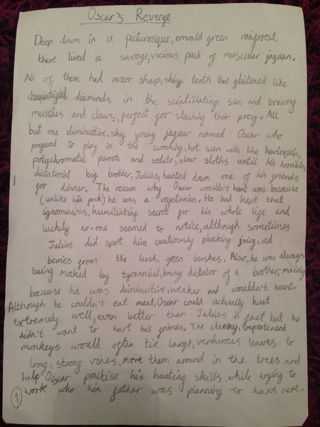 Could any teachers give tips on how to improve this piece of writing?
