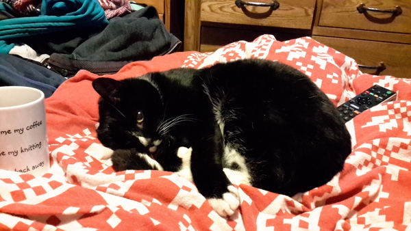 Fantabulous February with the Friendly Frugaleers!