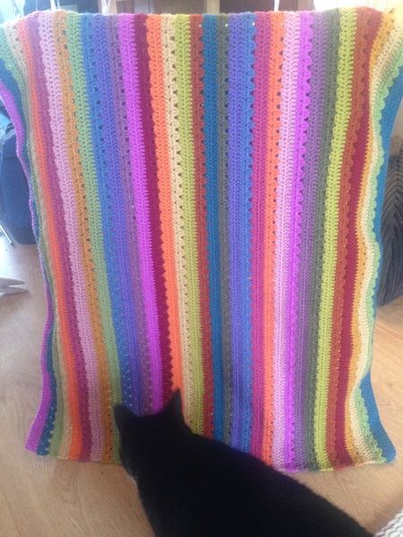 Welcome to our Chernobyl project for 2017