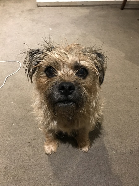 #makeithappen TTC through Donor IUI or Donor IVF or just undecided – all welcome!  Thread #6