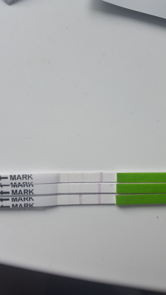 Confused about ovulation