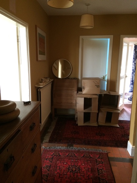 Anyone painted a dark hallway a dark colour?