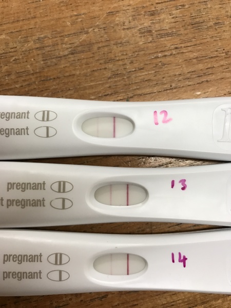 October 2017-come one come all!