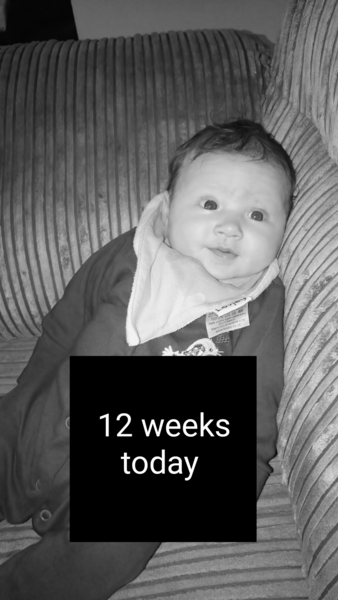 The final December 2016 thread?