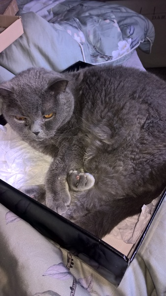 Fantabulous February with the Friendly Frugaleers!