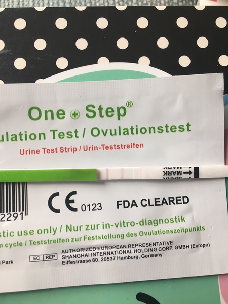#makeithappen TTC through Donor IUI or Donor IVF or just undecided – all welcome!  Thread #6