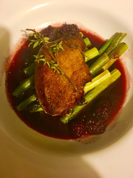 Week 4 - Spring Low Carb Bootcamp - our first month!