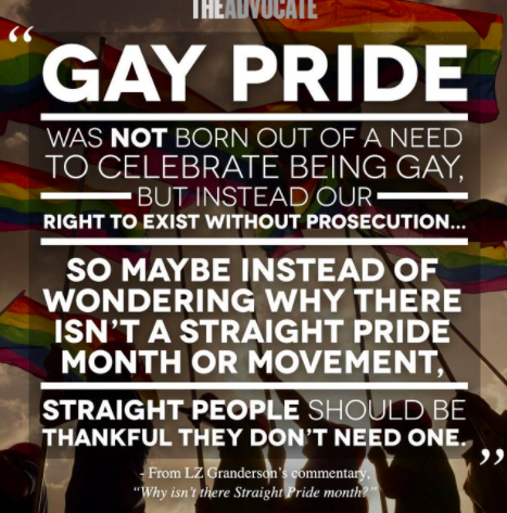 to ask if all LGBTs approve of Pride festivals?