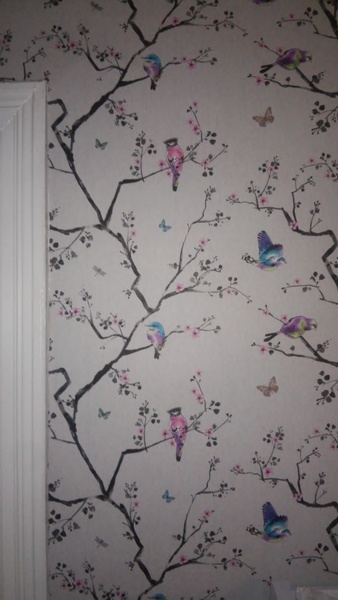 To ask you to choose a wallpaper for my bedroom