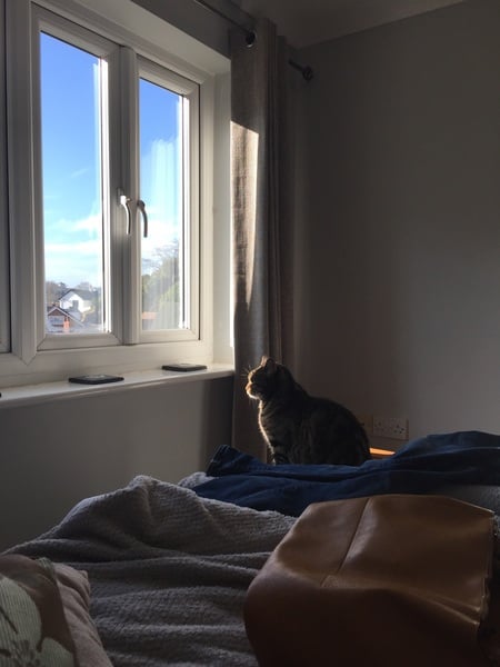 Frugaleers Frolick Frugally through February