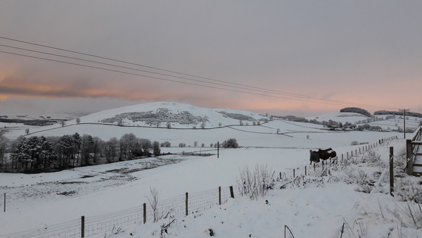 Week 4 - Spring Low Carb Bootcamp - our first month!