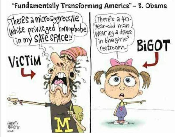 To be baffled by and disappointed with the amount of transphobia on MN?