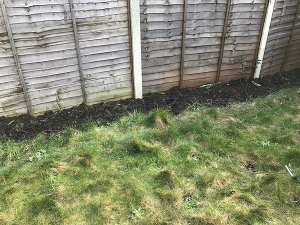 Can any green fingered mumsnetters tell a novice what to do with my garden?