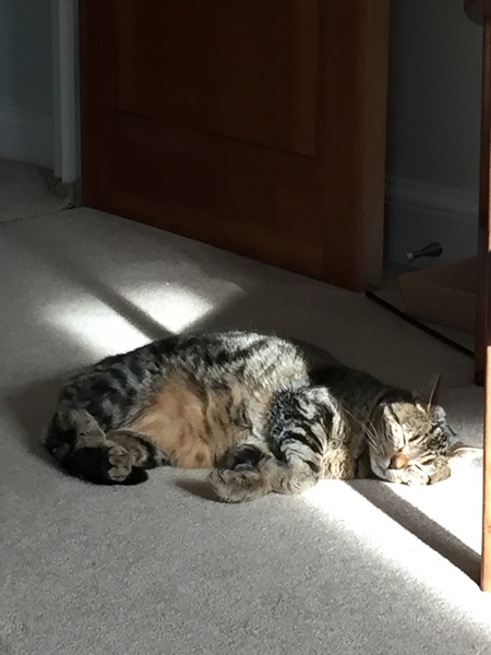 Fantabulous February with the Friendly Frugaleers!