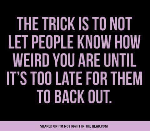 Swagger Inn 143 - It's Still Cold - Oh Musketeers Keep The Wenches Warm